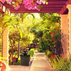 Königsbrunn Springbrunnen Solar 200 L/h LED Akku Basaltoptik -Der Grillgarten Winkels 10029040 yy 0004 ambient Blumfeldt Koenigsbrunn Solar Springbrunnen reedit