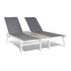 Pompei Sonnenliege Lounger 2 Pers. Aluminium Abstellfläche -Der Grillgarten Winkels 10035986 yy 0001 titel