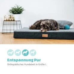 Balu Hundebett Hundekissen | Waschbar | Orthopädisch | Rutschfest | Atmungsaktiver Memory-Schaum | Größe L (100 X 10 X 65 Cm) -Der Grillgarten Winkels 10037566 de 0002 logo
