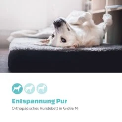 Hundebett Hundematte | Waschbar | Orthopädisch | Rutschfest | Atmungsaktiv | Klappbar Memory-Schaum | Größe M (80 X 8 X 55 Cm) 10 Hundebett Hundematte | Waschbar | Orthopädisch | Rutschfest | Atmungsaktiv | Klappbar Memory-Schaum | Größe M (80 X 8 X 55 Cm) -Der Grillgarten Winkels 10037569 de 0002 logo