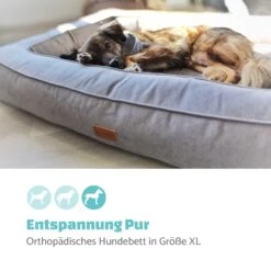 Bruno Hundebett Hundekorb | Waschbar | Orthopädisch | Rutschfest | Atmungsaktiv | Memory-Schaum | Größe XL (120 X 17 X 85 Cm) 10 Bruno Hundebett Hundekorb | Waschbar | Orthopädisch | Rutschfest | Atmungsaktiv | Memory-Schaum | Größe XL (120 X 17 X 85 Cm) -Der Grillgarten Winkels 10037588 de 0002 logo