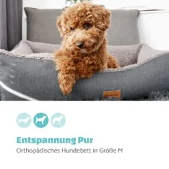 Emma Hundebett Hundekorb | Waschbar | Rutschfest | Atmungsaktiv | Wendematratze | Kissen | Größe M (80 X 20 X 70 Cm) -Der Grillgarten Winkels 10037611 de 0002 logo