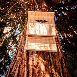 Fledermaushaus Nistkasten Überwinterungshilfe Ganzjährig Kiefer -Der Grillgarten Winkels 10038132 yy 0005 logo