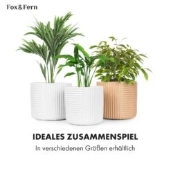 Hasselt Blumentopf Polystone Pflanzenfreundlich Handgemacht 3D-Optik 14 Hasselt Blumentopf Polystone Pflanzenfreundlich Handgemacht 3D-Optik -Der Grillgarten Winkels 10038548 de 0006 usp